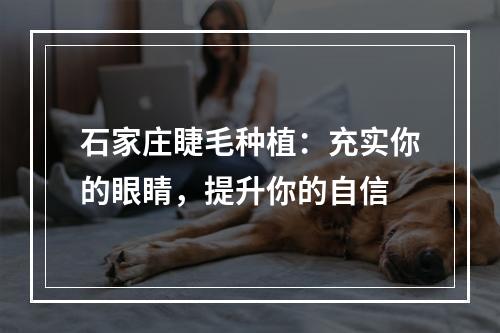 石家庄睫毛种植：充实你的眼睛，提升你的自信