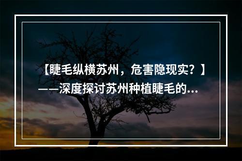 【睫毛纵横苏州，危害隐现实？】——深度探讨苏州种植睫毛的真相