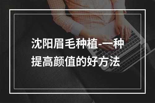 沈阳眉毛种植-一种提高颜值的好方法