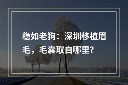 稳如老狗：深圳移植眉毛，毛囊取自哪里？