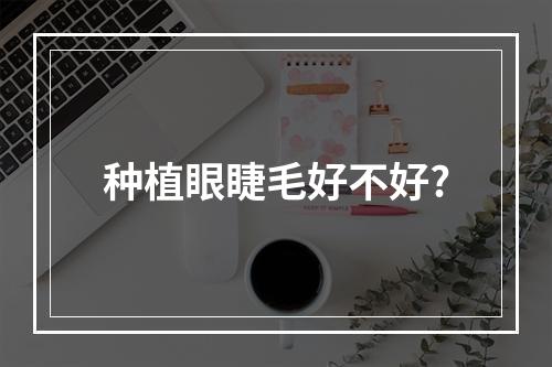 种植眼睫毛好不好?