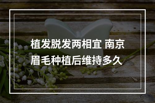 植发脱发两相宜 南京眉毛种植后维持多久