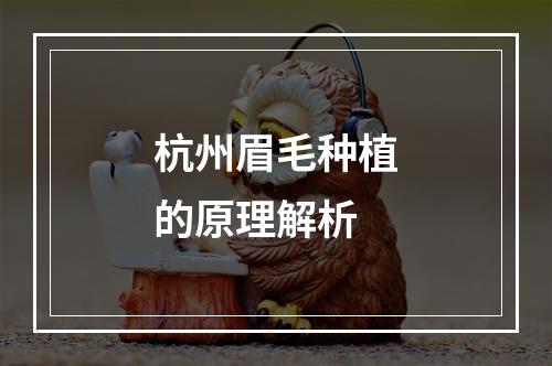 杭州眉毛种植的原理解析