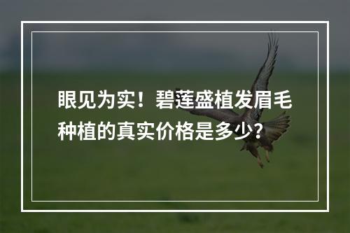 眼见为实！碧莲盛植发眉毛种植的真实价格是多少？