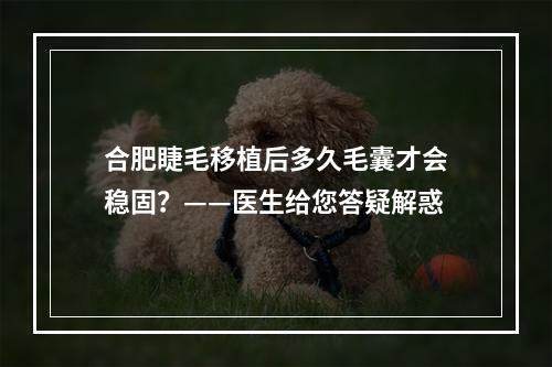 合肥睫毛移植后多久毛囊才会稳固？——医生给您答疑解惑