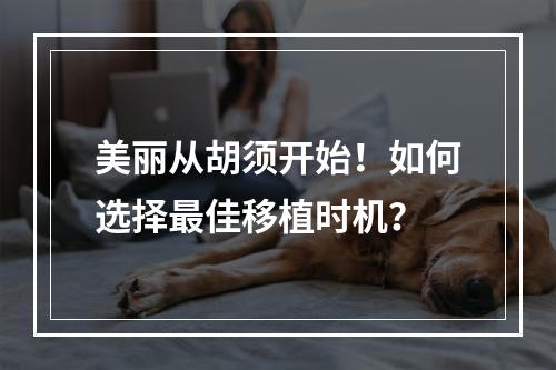 美丽从胡须开始！如何选择最佳移植时机？