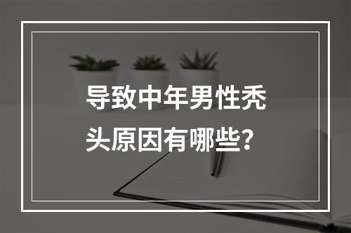 导致中年男性秃头原因有哪些？