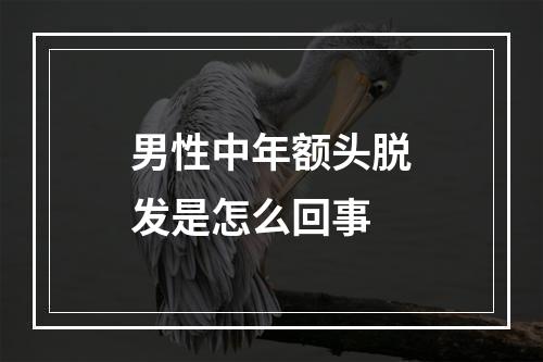 男性中年额头脱发是怎么回事