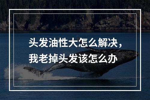 头发油性大怎么解决，我老掉头发该怎么办