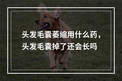 头发毛囊萎缩用什么药，头发毛囊掉了还会长吗