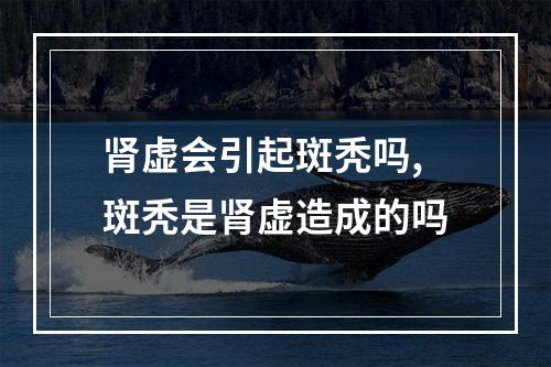 肾虚会引起斑秃吗,斑秃是肾虚造成的吗