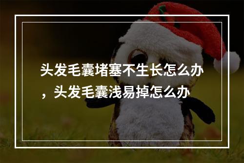 头发毛囊堵塞不生长怎么办，头发毛囊浅易掉怎么办