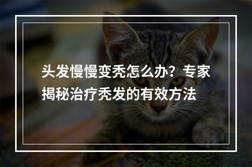 头发慢慢变秃怎么办？专家揭秘治疗秃发的有效方法