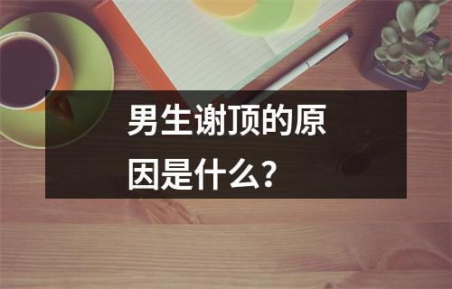 男生谢顶的原因是什么？