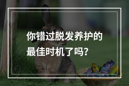 你错过脱发养护的最佳时机了吗？