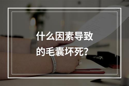 什么因素导致的毛囊坏死？